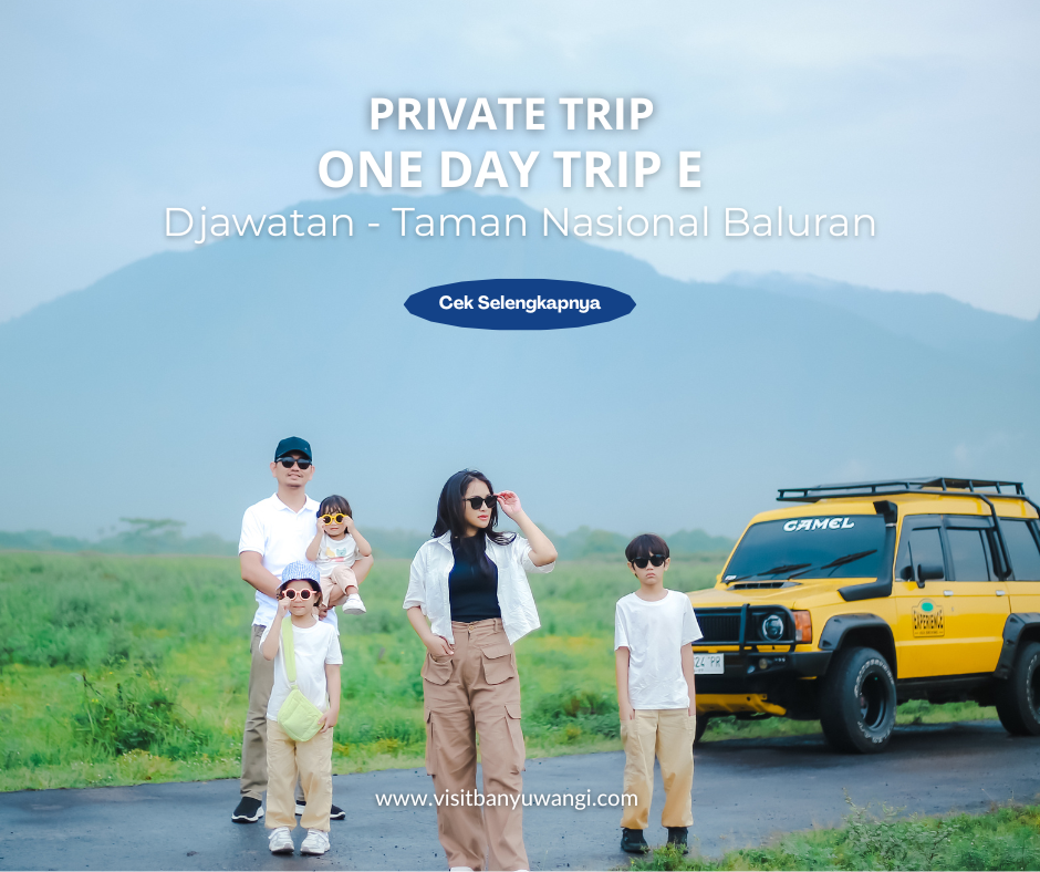 Private Trip One Day E